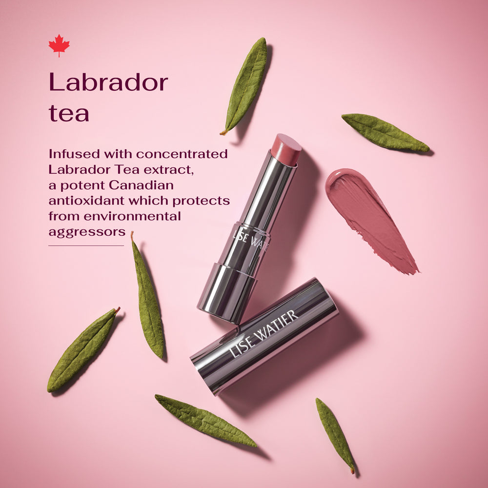 Nude Harmony Lip Set